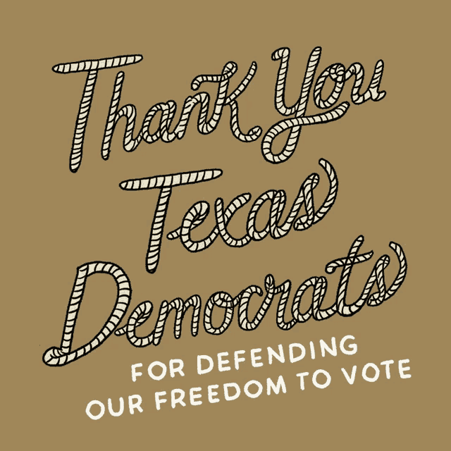 a brown sign that says thank you texas democrats for defending our freedom to vote