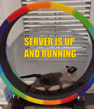 a cat is running in a rainbow colored circle with the words " server is up and running " below it