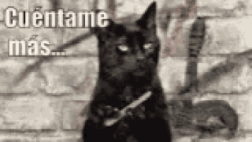 a black cat is holding a toothbrush in front of a brick wall with the words cuentame mas written on it