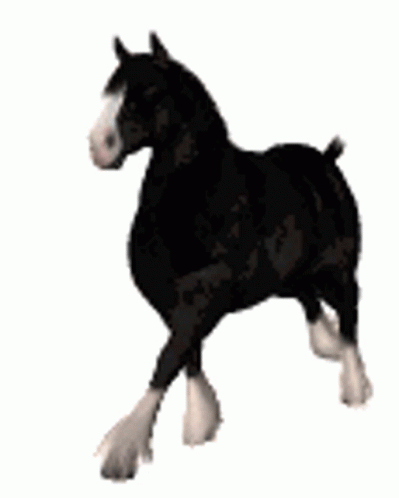 Horse Running GIF - Horse Running Black GIFs