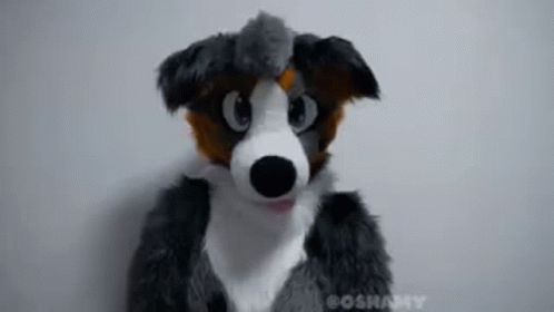 Yes Furry GIF - Yes Furry Oshamy GIFs