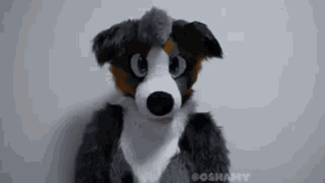a stuffed animal in a dog costume is looking at the camera .