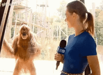 Orangutan Smirk GIF - Orangutan Smirk Smile GIFs