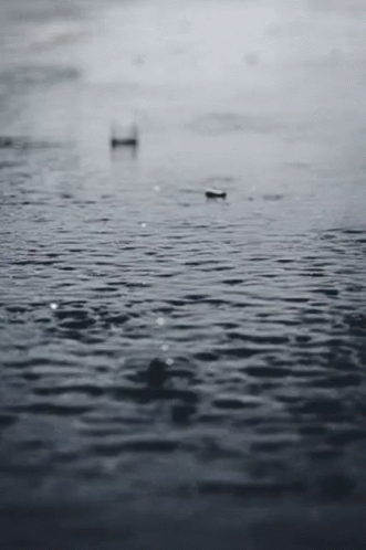 Raindrops Keep Falling... GIF - Rain Raindrops Rainfall GIFs