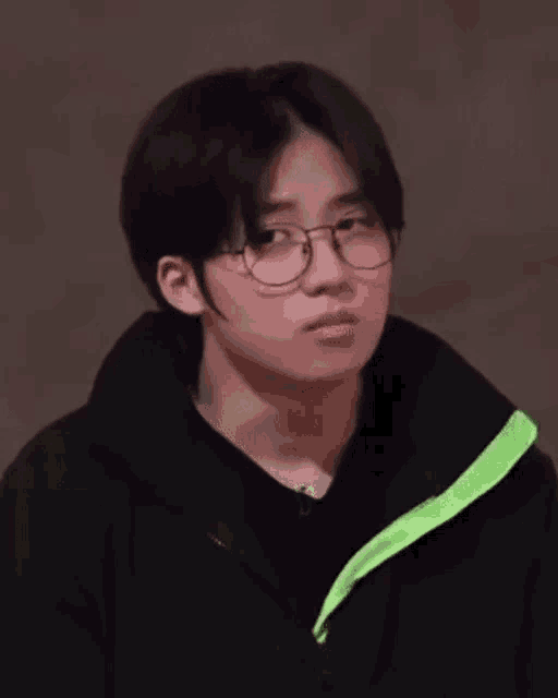 a young man wearing glasses and a black jacket is looking at the camera .