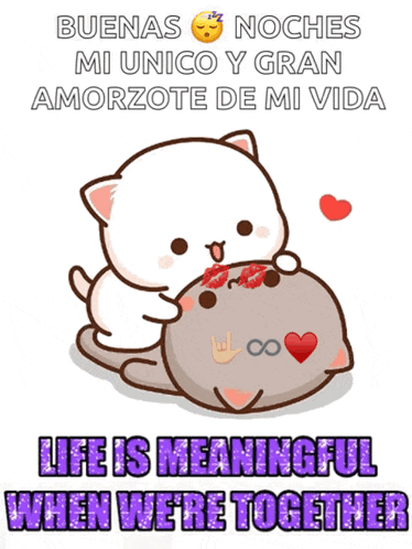 a cartoon of a cat kissing another cat with the words life is meaningful when we are together