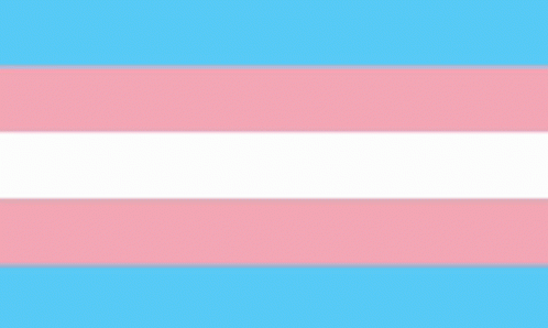 Trans Flag GIF - Trans Flag GIFs
