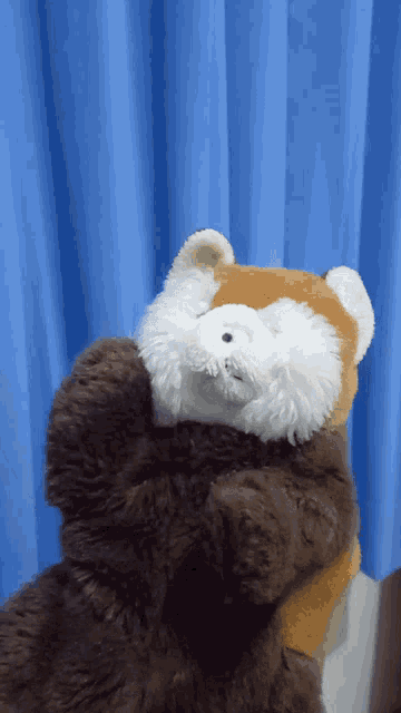 two stuffed animals are hugging each other with a blue curtain in the background
