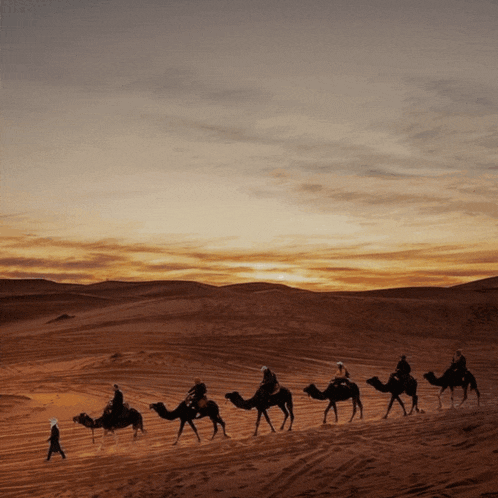 a group of people riding camels through the desert