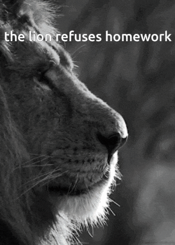 a black and white photo of a lion with the words " the lion refuses homework " below it