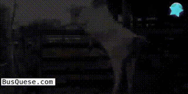 a picture of a cat jumping over a fence with the website busquese.com on the bottom