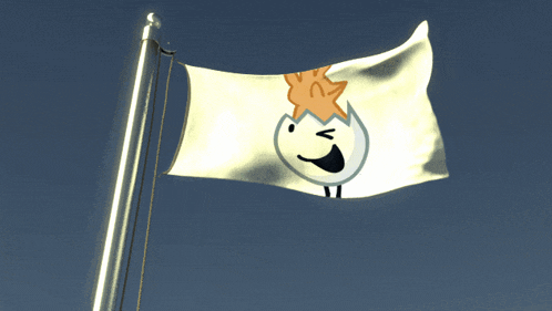 a flag with a cartoon face on it