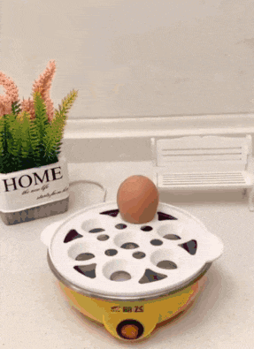 a potted plant with the word home on it sits on a counter