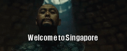 Welcome To Singapore Welcome GIF - Welcome To Singapore Welcome Mustache GIFs
