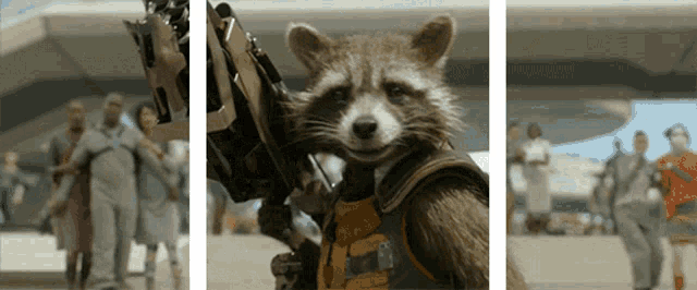 rocket raccoon from guardians of the galaxy is holding a gun