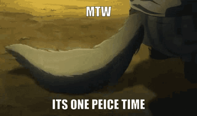 a picture of a tail with the words mtw its one peice time below it