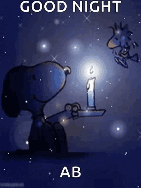 snoopy and woodstock are holding a candle and wishing a good night .