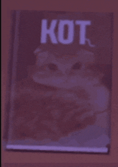 a book titled kot with a picture of a cat on it
