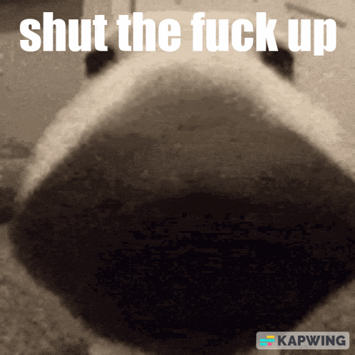 a picture of a frog with the words shut the fuck up written above it