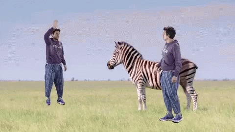 John Mayer Zebra GIF - John Mayer Zebra Hi GIFs