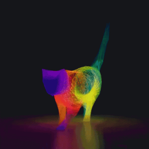 Rainbow Cat GIF - Rainbow Cat GIFs