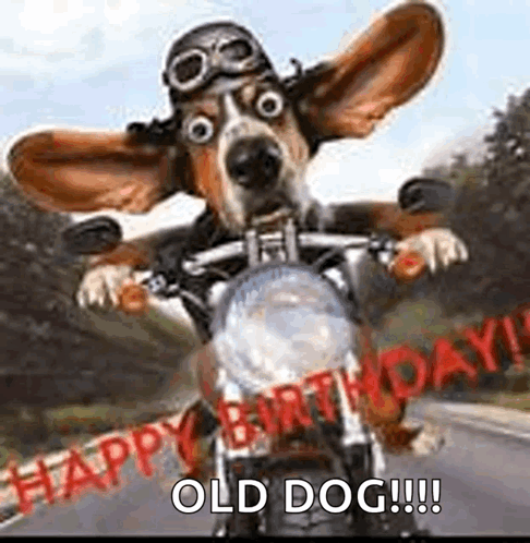 Happy Birthday GIF - Happy Birthday GIFs