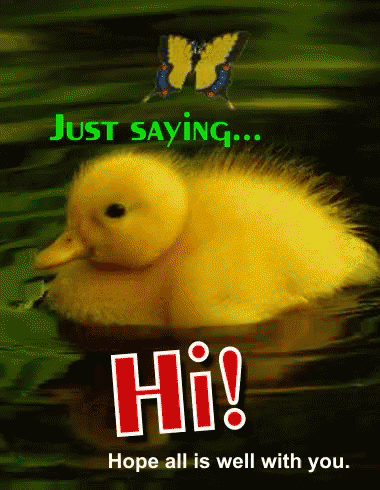 Hi Just Saying Hi GIF - Hi Just Saying Hi Duckling GIFs