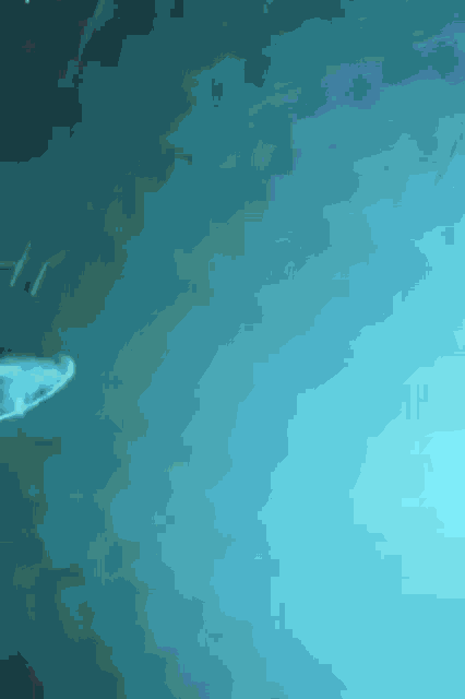 a shark is swimming in a blue water