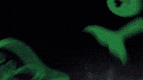 a black item with a green snake on it and the word yean on it