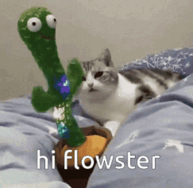 Hi Flowster Flowster GIF - Hi Flowster Flowster She Is One Of My Friends GIFs