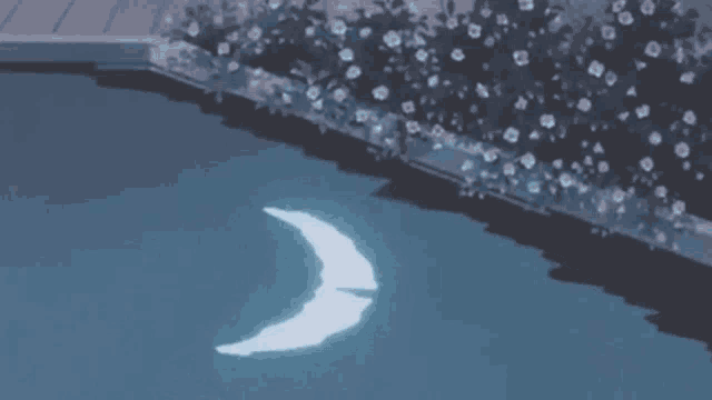 a drawing of a crescent moon with the words welcome to our server