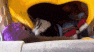 a close up of a person 's feet in a stroller .