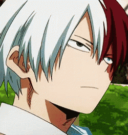 Todoroki GIF
