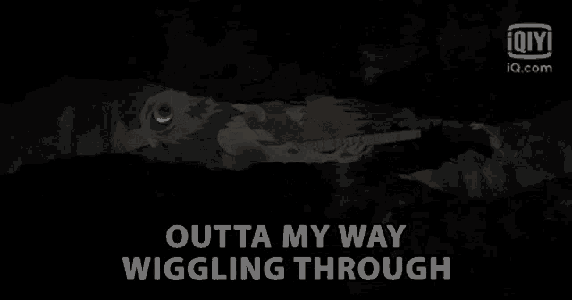 a black background with the words outta my way wiggling through at the top