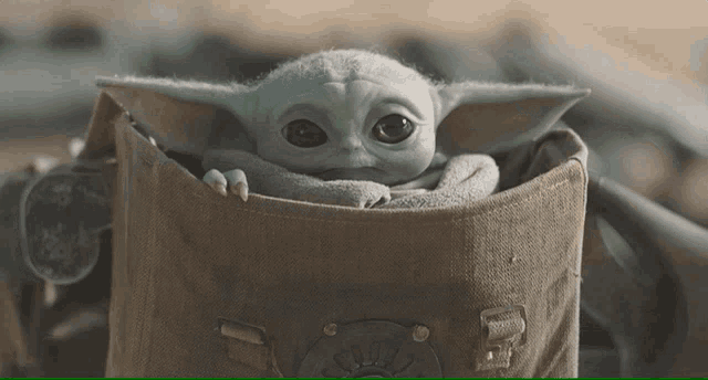a baby yoda is sitting in a bag and looking out of it