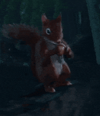 Baldurs Gate 3 Squirrel GIF - Baldurs Gate 3 Squirrel Wtf GIFs