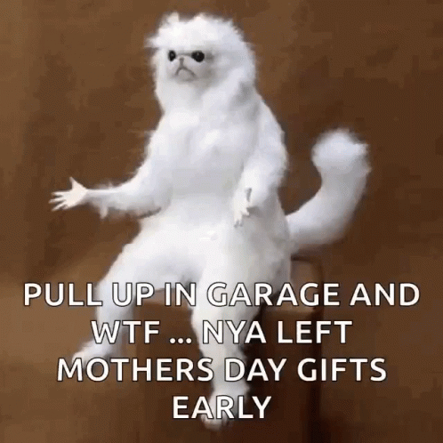 Confused White Persian Guardian GIF - Confused White Persian Guardian Why GIFs