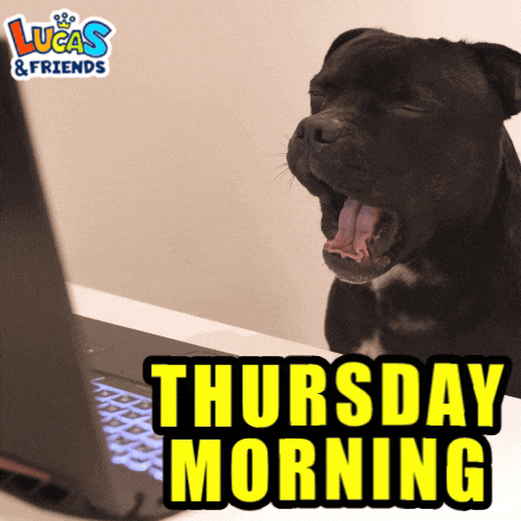 a black dog is yawning in front of a laptop with the words thursday morning written on it