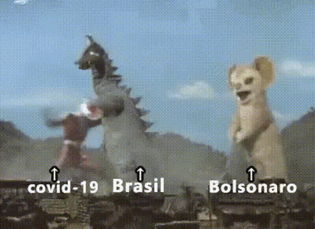 Covid19 Bolsonaro GIF - Covid19 Bolsonaro Boçal GIFs