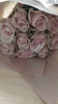 a bouquet of pink roses wrapped in pink paper is sitting on a table .