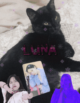 a black cat is laying on a bed next to a woman holding a card that says luna