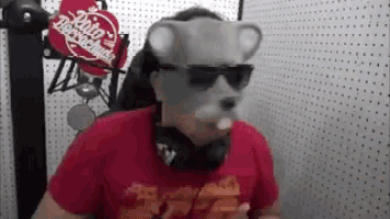 a man wearing a bear mask and sunglasses is sitting in front of a microphone in a recording studio .