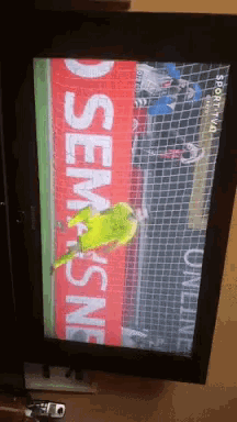 a soccer game is being played on a tv screen with a banner that says sem-online