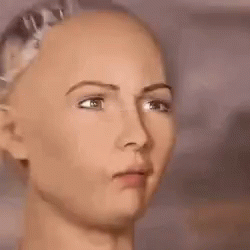Humanoid Robot Sophia GIF - Humanoid Robot Sophia Oh No GIFs