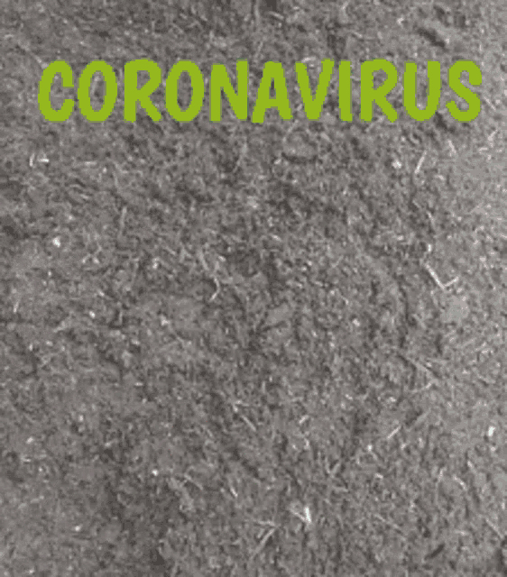 Coronavirus Middle Finger GIF - Coronavirus Middle Finger Fuck Off GIFs