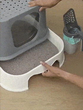 a person is putting a cat litter box on top of a stool