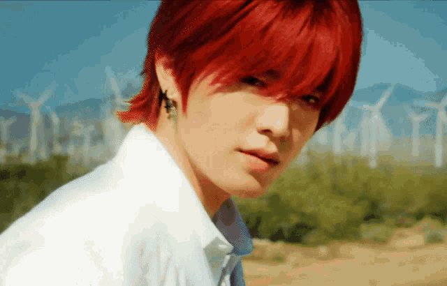 a young man with red hair is standing in front of a field of windmills .