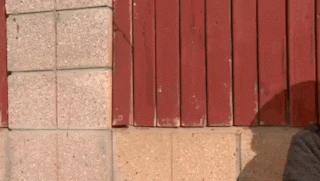 a close up of a brick wall with a red fence in the background