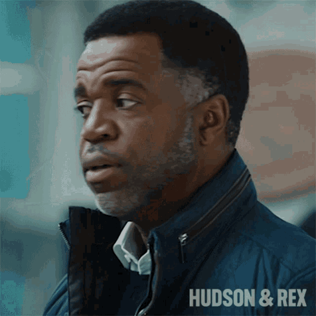 a close up of a man 's face with the words hudson & rex on the bottom right