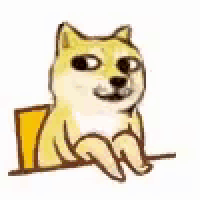 a doge is sitting on a chair with its legs crossed and a yellow background .
